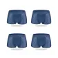 Blue 4 Pcs