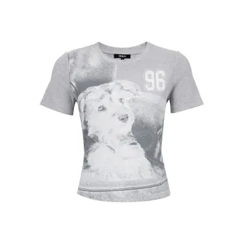 ONLY Set in Sleeve T Shirt Women's Light Gray Yarn