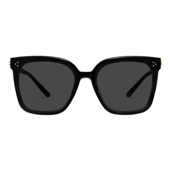 GENTLE MONSTER Plate Frame Square Sunglasses Unisex Black