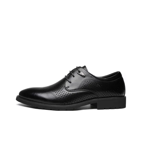 HAPPY DINO Men's Casual Shoes Men Low Top Black