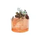 Fresh Look Orange Light — Essential Oil Not Included