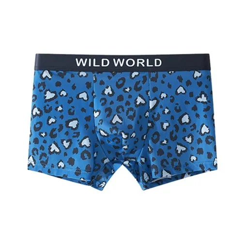 ROBINHOOD Underpants Men's Combo Set-15