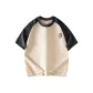 Apricot/Iron Gray Sleeves