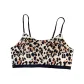 Panther Print