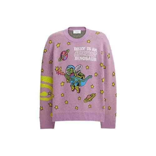 COACH Cosmic Coach Knitwear Women's Purple