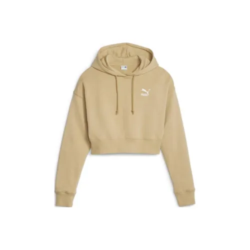 PUMA CLASSICS CLASSICS Rosewaterped Hoodie TR Sweatshirt Women's Coffee