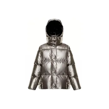 Moncler Parana Series Down Jacket Women's Silver
