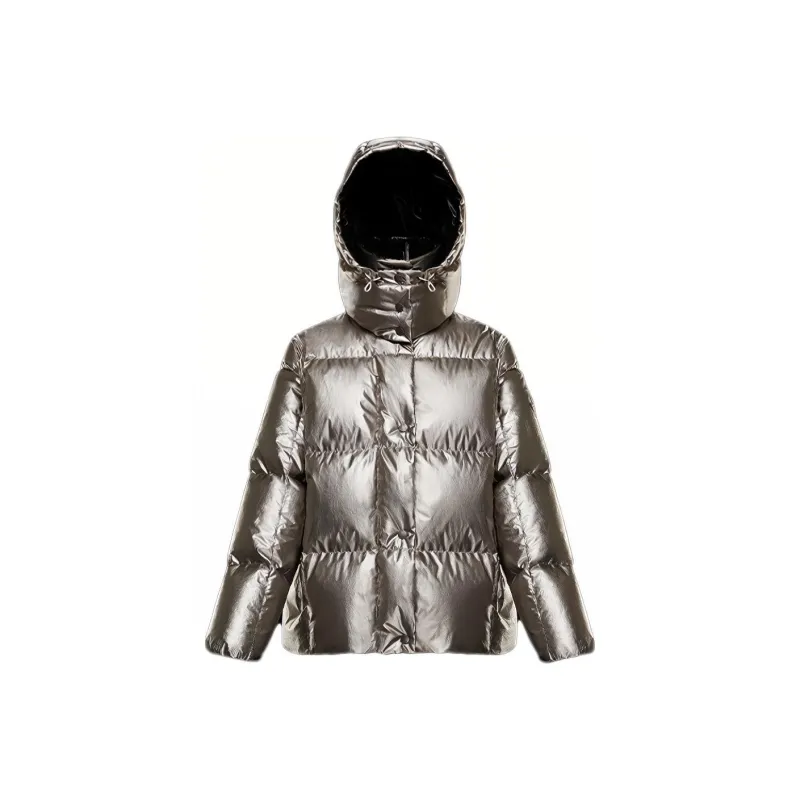 Moncler Parana Series Down Jacket Women's Silver-0