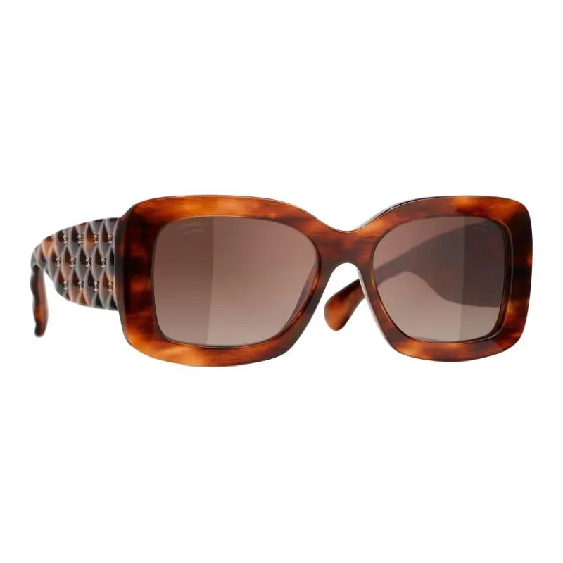 CHANEL Acetate Butterfly Sunglasses Unisex Brown-1
