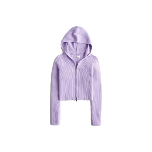 Hollister Knitwear Women's