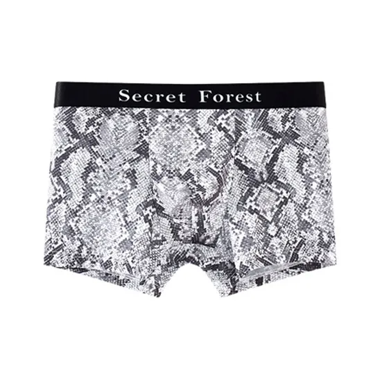 ROBINHOOD Underpants Men's Combo Set-10