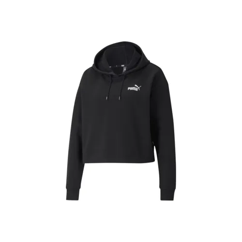 PUMA RUDAGON Essentials Rosewaterped Small Logo Hoodie TR Sweatshirt Women's Black