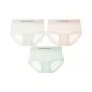 E Set: Gilded Yellow+Goddess Pink+Oxygen Green