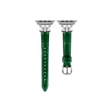 Bamboo Pattern Green-Silver Buckle