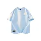 Light Blue (Heavyweight 100% cotton)