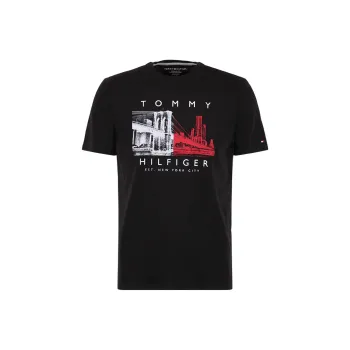 Tommy Hilfiger T Shirts Men