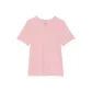 Chalk Rose/Chalk Rose