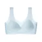 1 Pack (Blue)