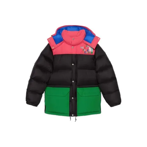 GUCCI X The North Face Down Jacket Black/Multicolor