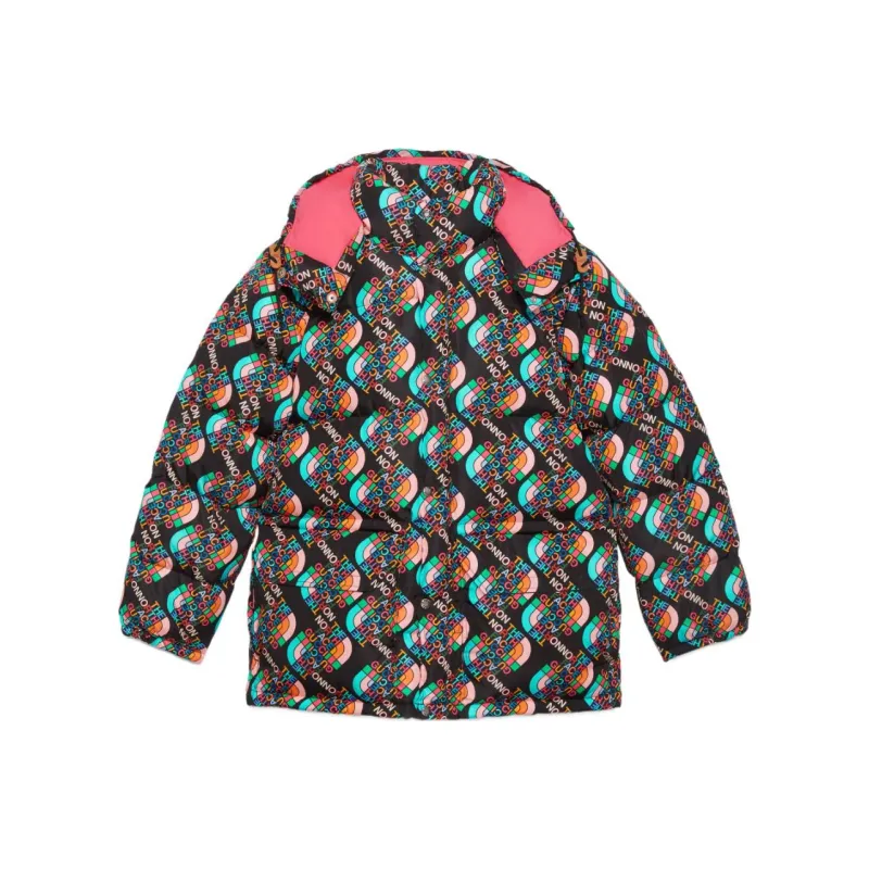 GUCCI X The North Face Down Jacket Multicolor/Black-0