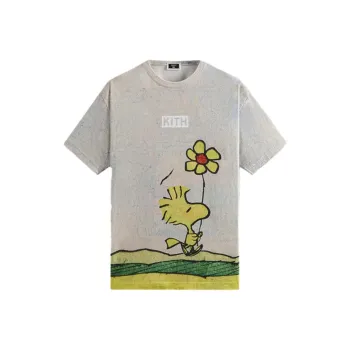 KITH For Peanuts Woodstock Comic Vintage Tee