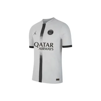 Jordan Dri FIT ADV Paris Saint Germain Authentic Away Soccer Jersey Men's Gray