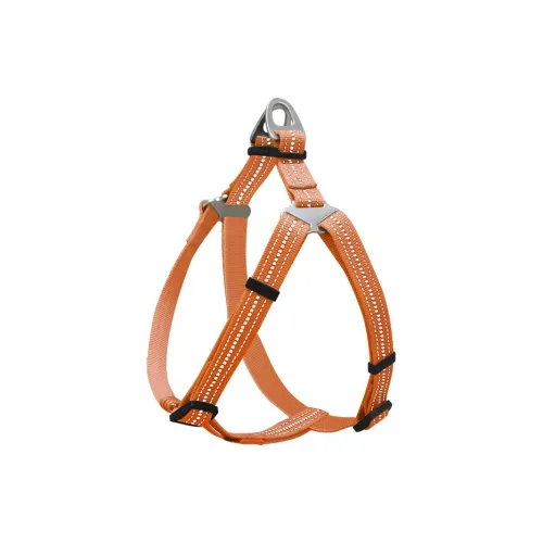 BURNSNOW Leashes