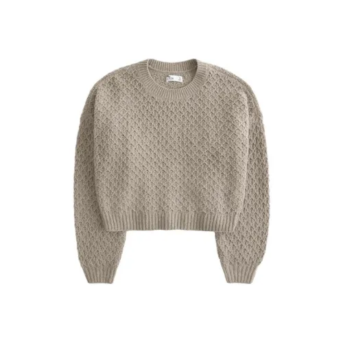 Hollister Sweater Women's Light Brown