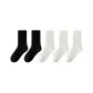 2 Black, 3 White