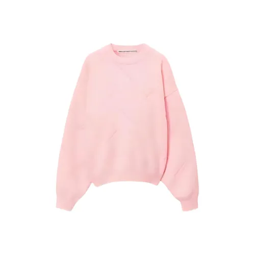 Alexander Wang Knitwear Women's Pink