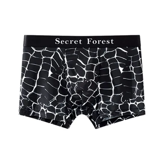 ROBINHOOD Underpants Men's Combo Set-5