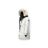 Snow Cover