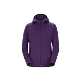 Purple/Expanse