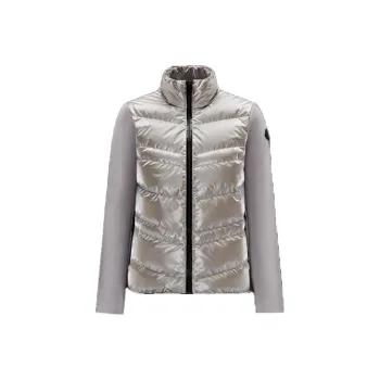 Moncler FW22 Down Jacket Women's Silver