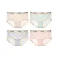 4 Pack (Dark Blue+Pink+Orange+Green)-8816