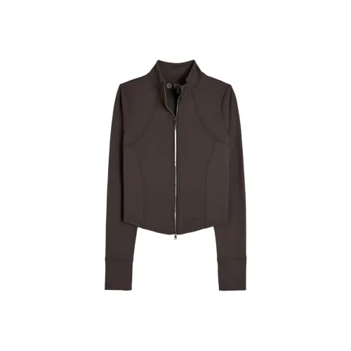 Hollister Jackets Coats Women's Espresso