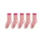 5 Pink Rose Red Lipstick