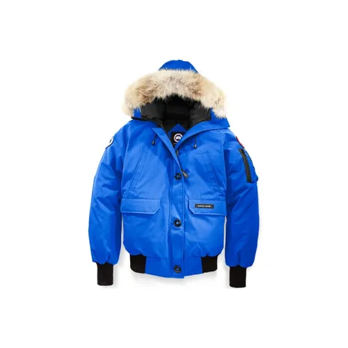Canada Goose Down Jacket Winter Women's Blue