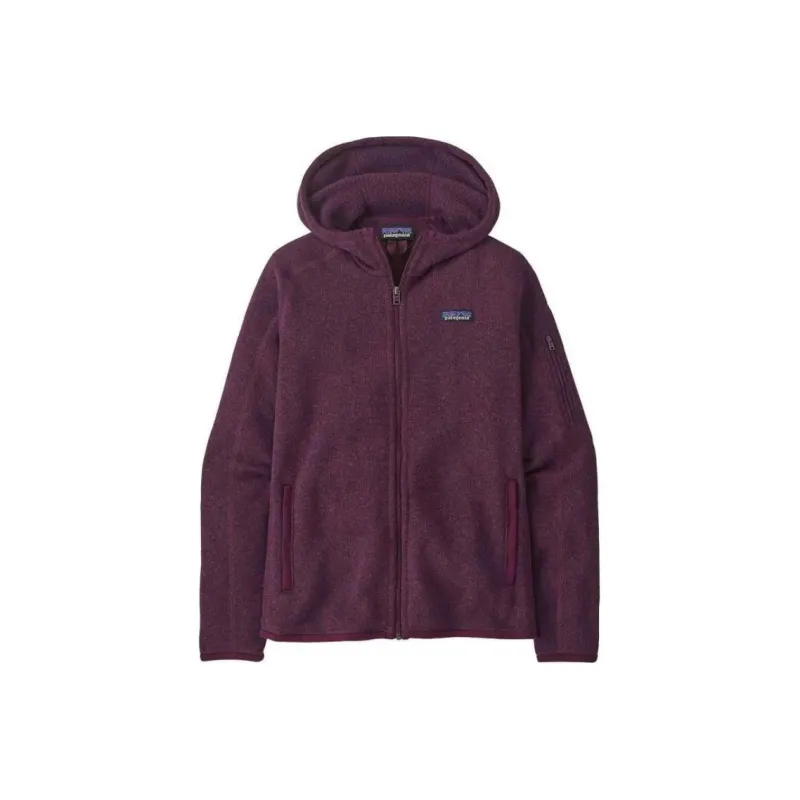 Patagonia Logo patch Hoodie-1