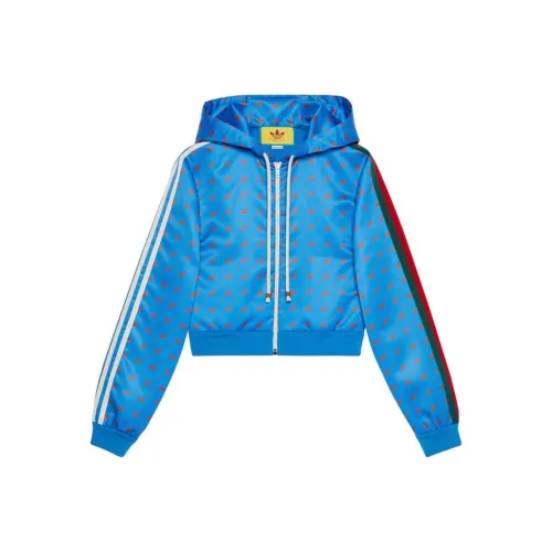 GUCCI X Adidas Zip Jacket Blue