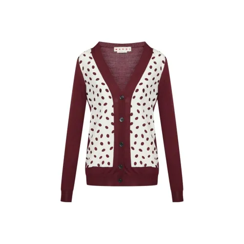 MARNI Knitwear Women's Burgundy