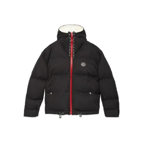 GUCCI Gg Cotton Canvas Puffer With Grey