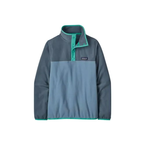 Patagonia Micro D Snap T Sweatshirts Women's