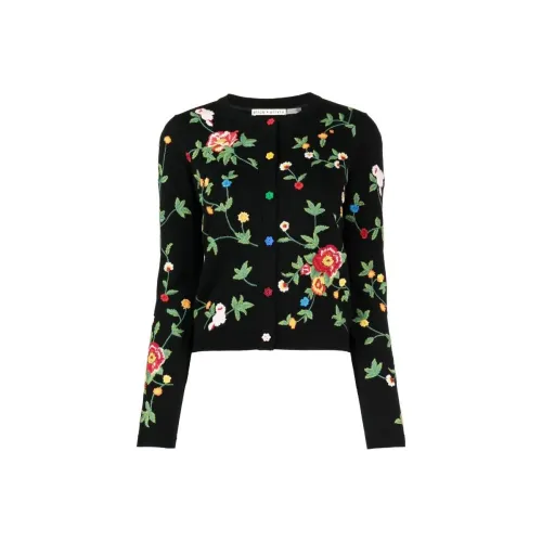 ALICE+OLIVIA Knitwear Women's Black