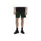 Green/RNFG