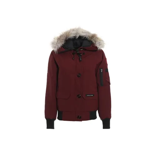 Canada Goose Down Jacket Winter Women's Berry Red