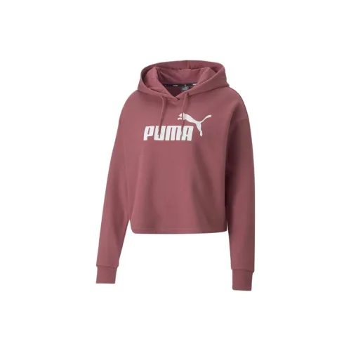 PUMA Metallic Nights Essentials Rosewaterped Small Logo Hoodie TR Sweatshirt Women's Pink