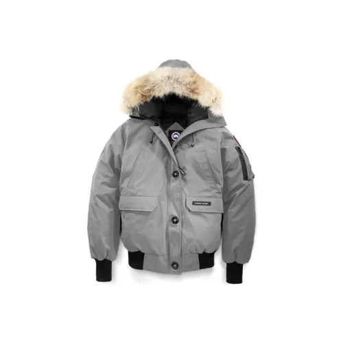 Canada Goose Chilliwack Series Down Jacket Winter Women's Moonstone Gray