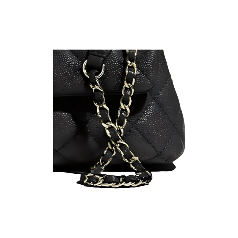 CHANEL Coco Handle Handbags-2