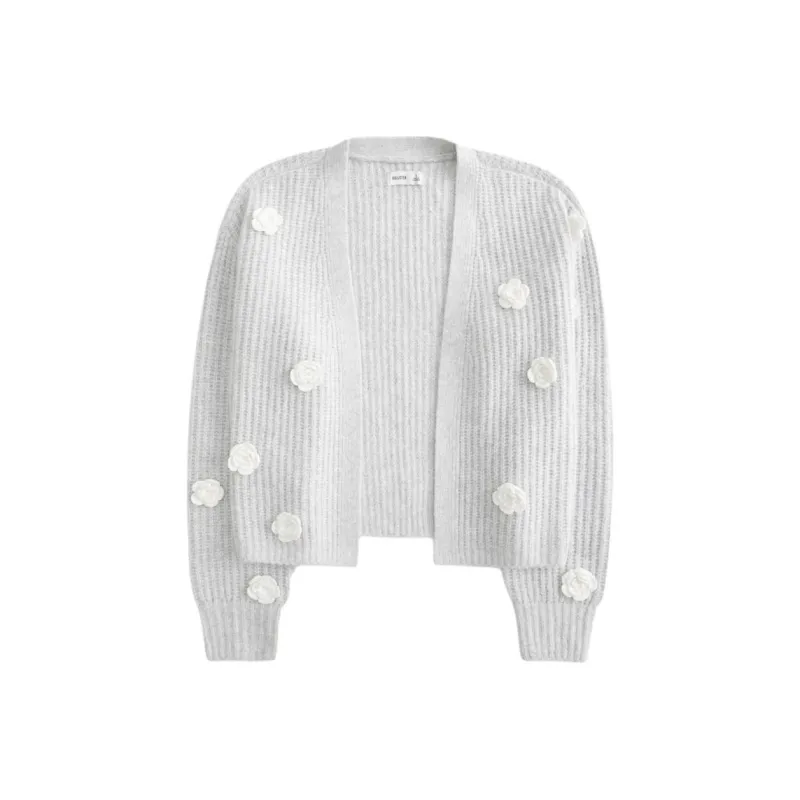 Hollister Knitwear Women's Light Gray-0